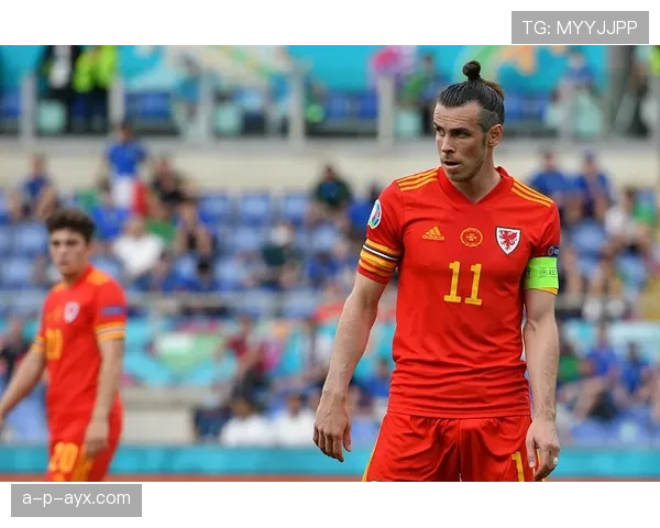 欧洲杯冠军赔率解析：传统豪强与黑马球队谁能笑到最后？