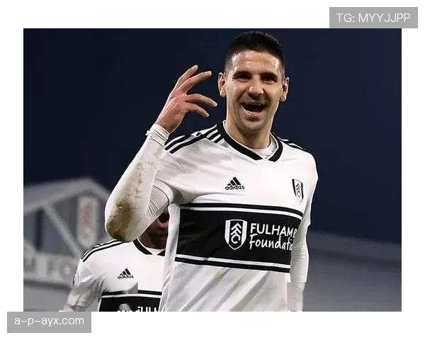 英超亚历山大·米特罗维奇 英超亚历山大·米特罗维奇