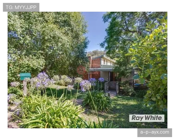 特伦特·亚历山大-阿诺德vs坎塞洛:组织型边卫发展路径对比 特伦特·亚历山大-阿诺德vs坎塞洛:组织型边卫发展路径对比